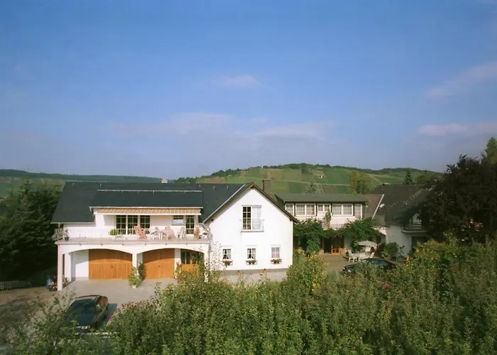 招待所 Weingut Fries 3*